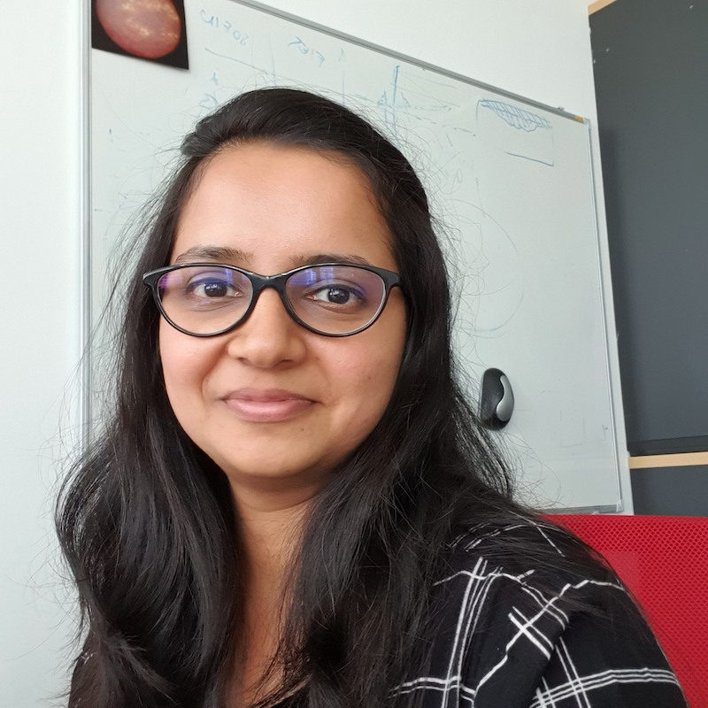 Smitha H Narayanamurthy