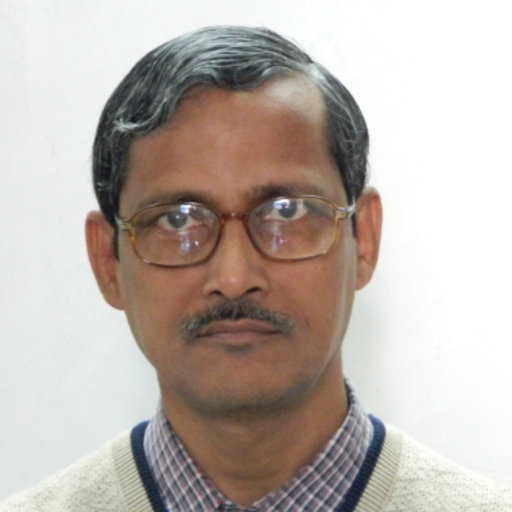 Saibal Ray